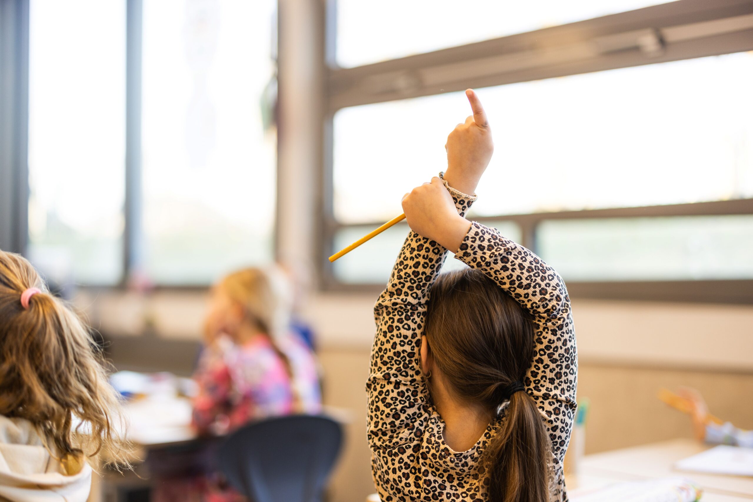 PLG’s op De Klimroos: leren op je eigen niveau